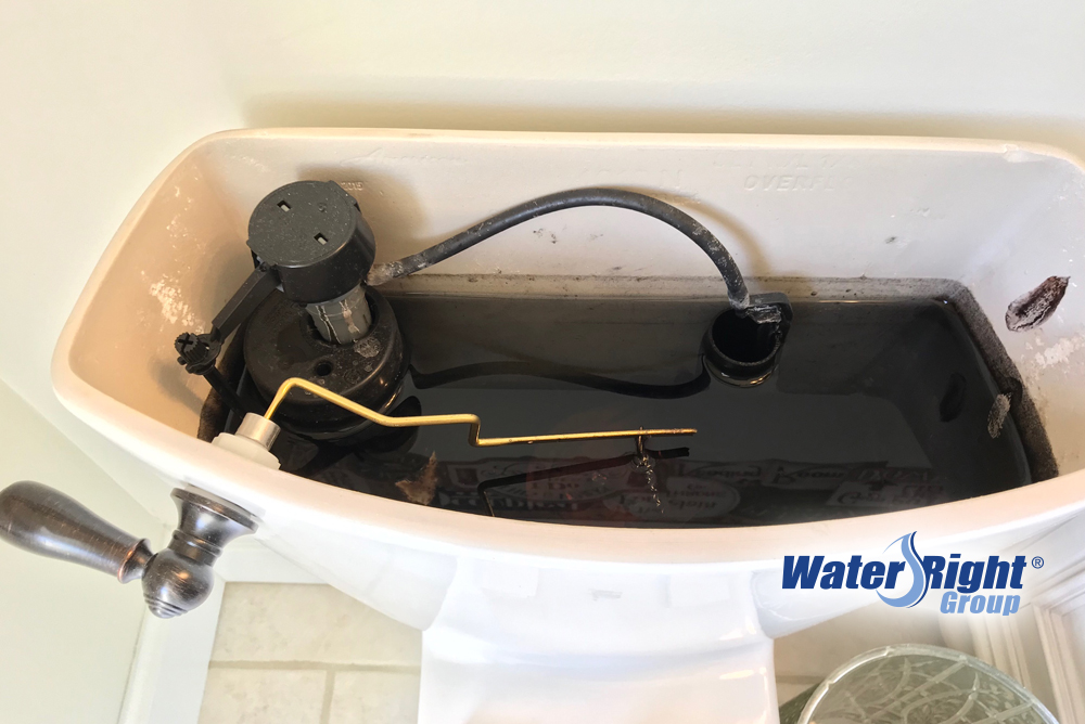 What Causes Black Toilet Stains How To Fix Water Right